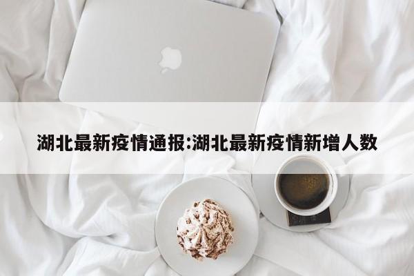 湖北最新疫情通报:湖北最新疫情新增人数