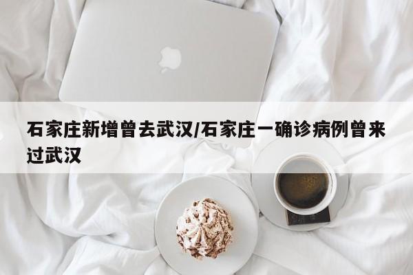 石家庄新增曾去武汉/石家庄一确诊病例曾来过武汉